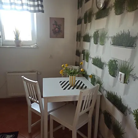 Goscinne Teresa Jeka Władysławowo